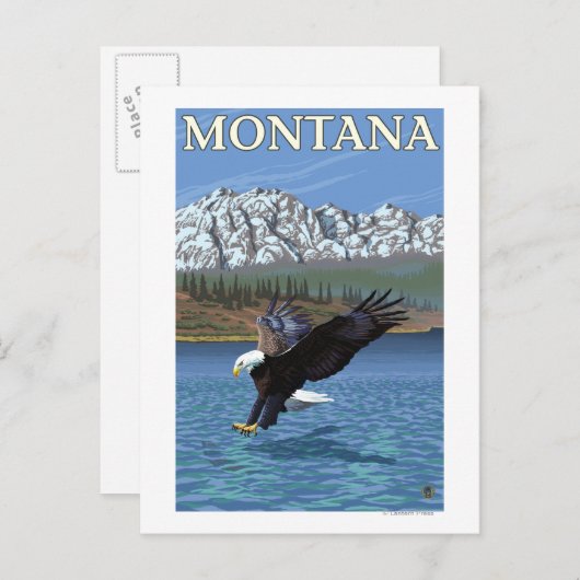 Bald Eagle Diving - Montana Briefkaart (Voorkant / Achterkant)