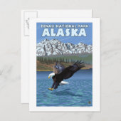 Bald Eagle Diving - Nationaal Park Denali, Alaska Briefkaart (Voorkant / Achterkant)