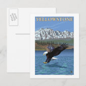 Bald Eagle Diving - Nationaal Park Yellowstone Briefkaart (Voorkant / Achterkant)