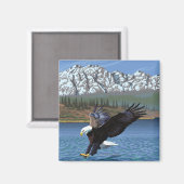 Bald Eagle Diving - Nationaal Park Yellowstone Magneet (Voorkant / Achterkant)