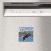 Bald Eagle Diving - Nationaal Park Yellowstone Magneet (Insitu (Vaatwasser))