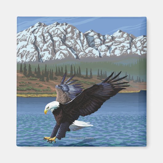 Bald Eagle Diving - Nationaal Park Yellowstone Magneet (Voorkant)