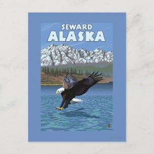 Bald Eagle Diving - Seward, Alaska Briefkaart