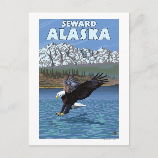 Bald Eagle Diving - Seward, Alaska Briefkaart (Voorkant)