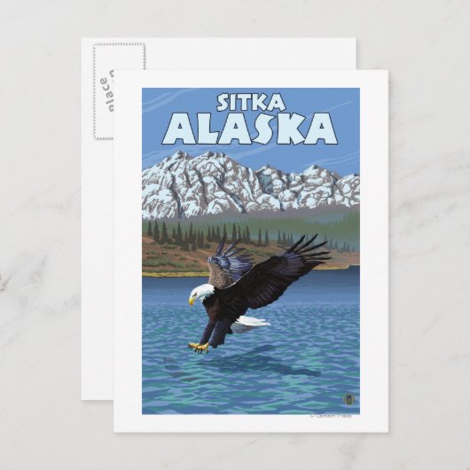 Bald Eagle Diving - Sitka, Alaska Briefkaart (Voorkant / Achterkant)