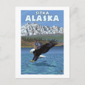 Bald Eagle Diving - Sitka, Alaska Briefkaart (Voorkant)