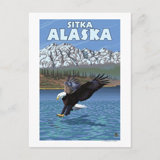 Bald Eagle Diving - Sitka, Alaska Briefkaart (Voorkant)