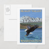 Bald Eagle Diving - Skagit Valley, Washington Briefkaart (Voorkant / Achterkant)