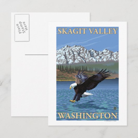 Bald Eagle Diving - Skagit Valley, Washington Briefkaart (Voorkant / Achterkant)