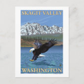 Bald Eagle Diving - Skagit Valley, Washington Briefkaart (Voorkant)