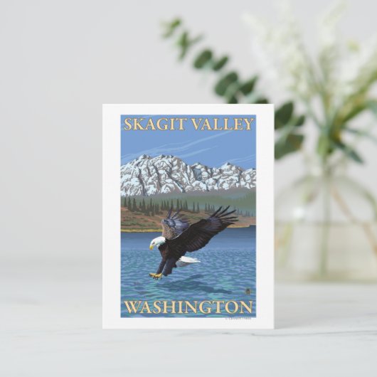Bald Eagle Diving - Skagit Valley, Washington Briefkaart (Staand voorkant)