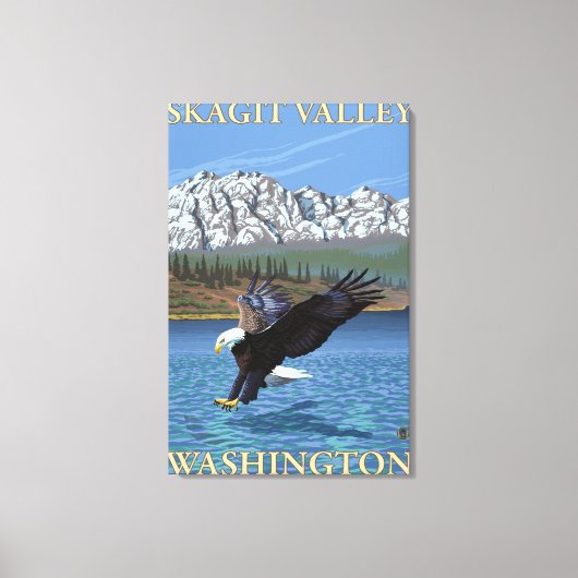 Bald Eagle Diving - Skagit Valley, Washington Canvas Afdruk (Voorkant)