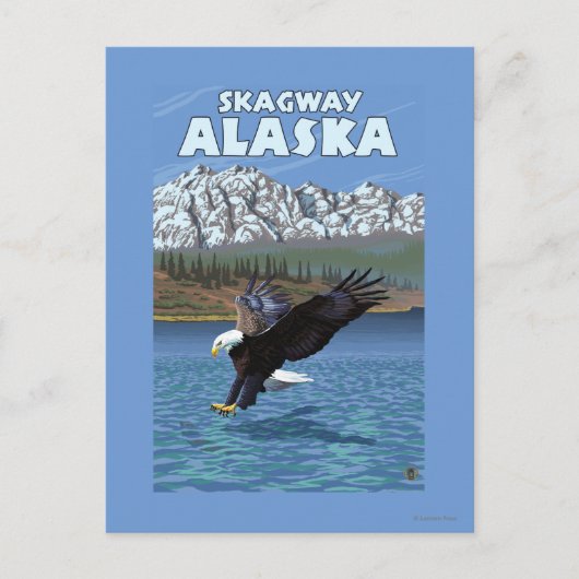 Bald Eagle Diving - Skagway, Alaska Briefkaart (Voorkant)
