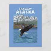 Bald Eagle Diving - Skagway, Alaska Briefkaart (Voorkant)