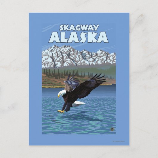 Bald Eagle Diving - Skagway, Alaska Briefkaart (Voorkant)