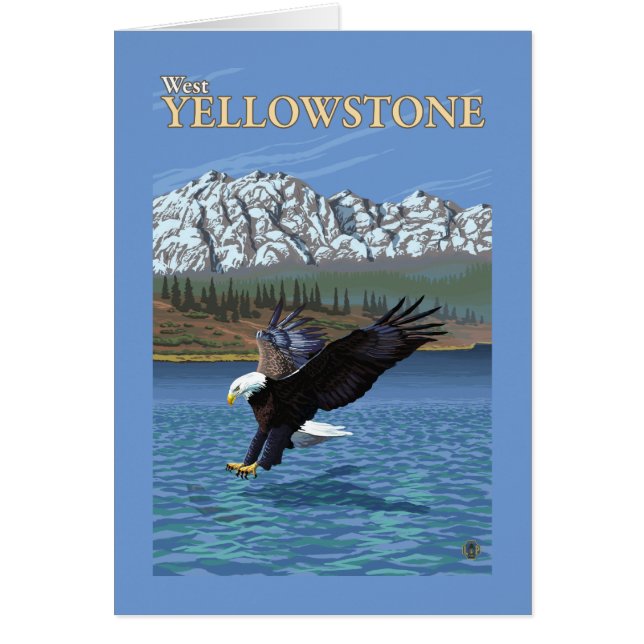 Bald Eagle Diving - West Yellowstone, MT (Voorkant)