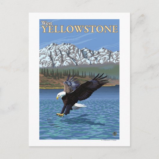 Bald Eagle Diving - West Yellowstone, MT Briefkaart (Voorkant)