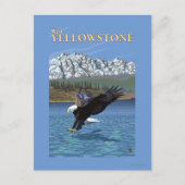 Bald Eagle Diving - West Yellowstone, MT Briefkaart (Voorkant)