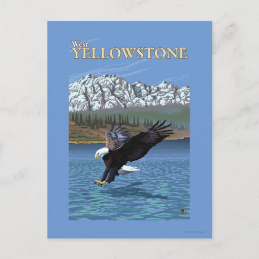 Bald Eagle Diving - West Yellowstone, MT Briefkaart (Voorkant)