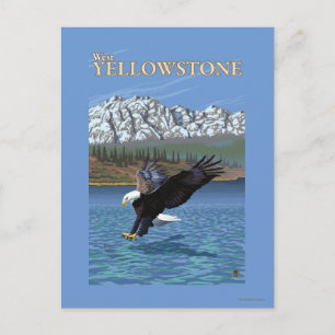 Bald Eagle Diving - West Yellowstone, MT Briefkaart