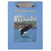 Bald Eagle Diving - West Yellowstone, MT Klembord (Voorkant)