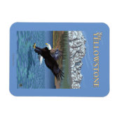 Bald Eagle Diving - West Yellowstone, MT Magneet (Horizontaal)