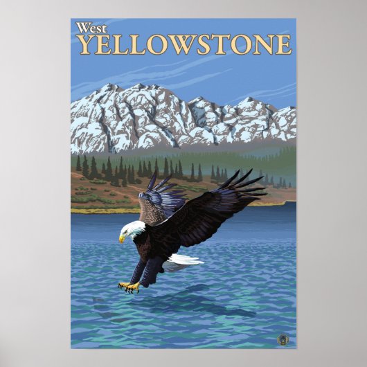 Bald Eagle Diving - West Yellowstone, MT Poster (Voorkant)