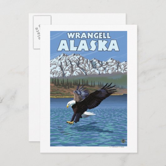 Bald Eagle Diving - Wrangell, Alaska Briefkaart (Voorkant / Achterkant)