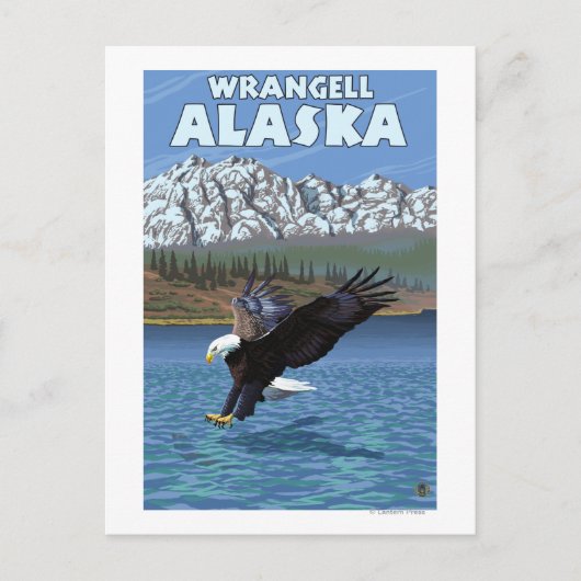 Bald Eagle Diving - Wrangell, Alaska Briefkaart (Voorkant)