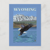 Bald Eagle Diving - Wyoming Briefkaart (Voorkant)