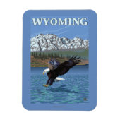 Bald Eagle Diving - Wyoming Magneet (Verticaal)