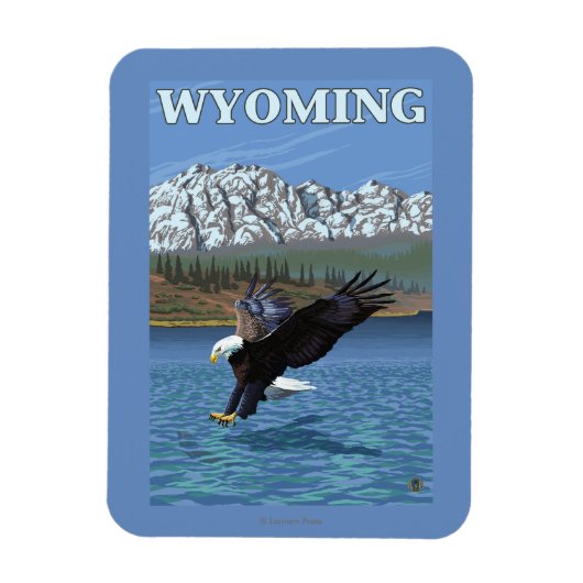 Bald Eagle Diving - Wyoming Magneet (Verticaal)