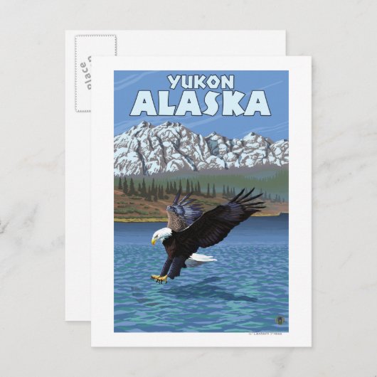 Bald Eagle Diving - Yukon, Alaska Briefkaart (Voorkant / Achterkant)