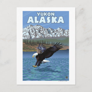 Bald Eagle Diving - Yukon, Alaska Briefkaart