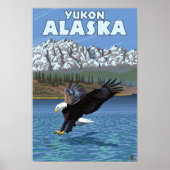 Bald Eagle Diving - Yukon, Alaska Poster (Voorkant)