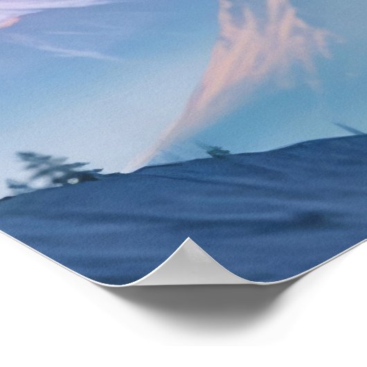 Bald Eagle Double Exposure Dierlijke Natuur Wilder Poster (Hoek)