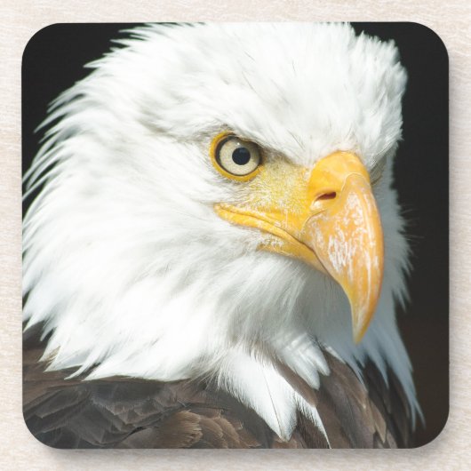 Bald Eagle Drankjes Onderzetter (Voorkant)