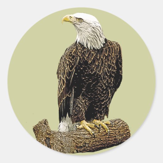 Bald Eagle Drawing Ronde Sticker (Voorkant)