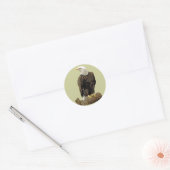 Bald Eagle Drawing Ronde Sticker (Envelop)