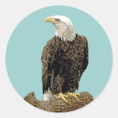 Bald Eagle Drawing Ronde Sticker (Voorkant)