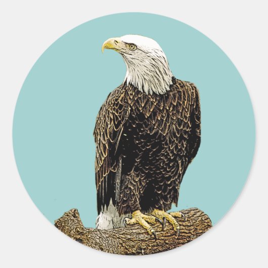 Bald Eagle Drawing Ronde Sticker (Voorkant)