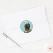 Bald Eagle Drawing Ronde Sticker (Envelop)