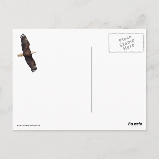 Bald Eagle Drop Briefkaart (Achterkant)