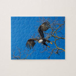 Bald Eagle Drop Legpuzzel