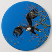 Bald Eagle Drop Ronde Button 6,0 Cm (Voorkant)