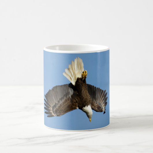 Bald Eagle duikt naar het water Koffiemok (Center)