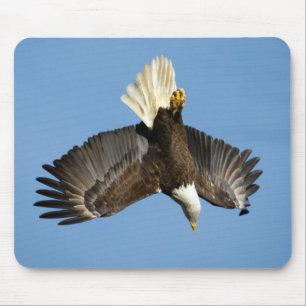 Bald Eagle duikt naar het water Muismat
