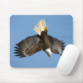 Bald Eagle duikt naar het water Muismat (Met muis)