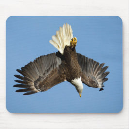 Bald Eagle duikt naar het water Muismat