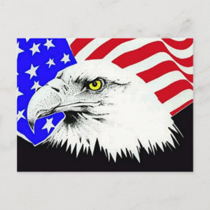 Bald Eagle en American Flag Briefkaart